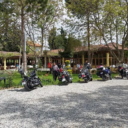 Anatolia Karacasu Aydin *