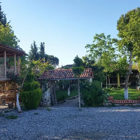 Anatolia Karacasu Aydin Geyre