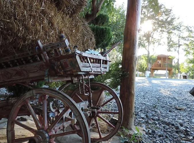 Anatolia Karacasu Aydın Otel Geyre