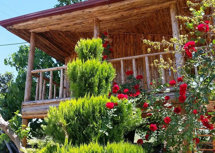 Anatolia Karacasu Aydın Otel Geyre