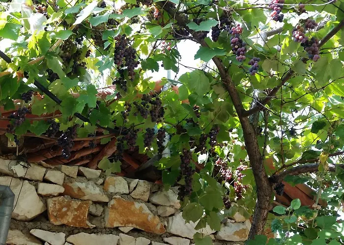 Anatolia Karacasu Aydın Otel Geyre