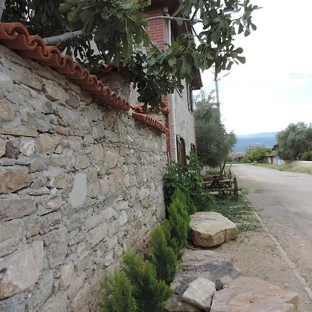 Hotel Anatolia Karacasu Aydin *