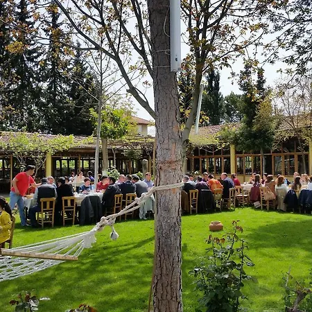 Anatolia Karacasu Aydin *