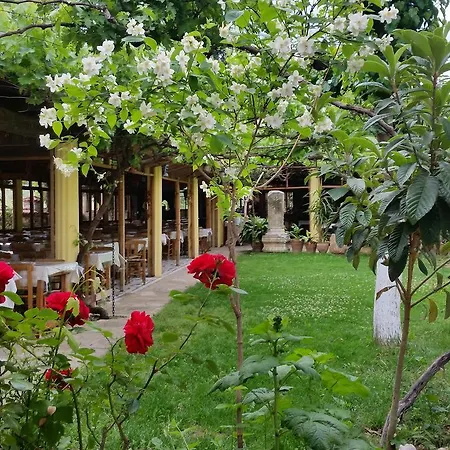 Hotel Anatolia Karacasu Aydin