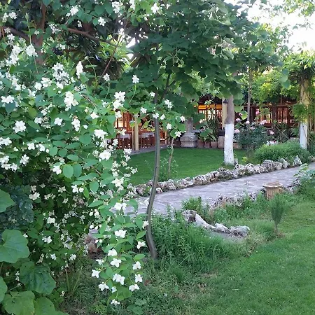 Anatolia Karacasu Aydin