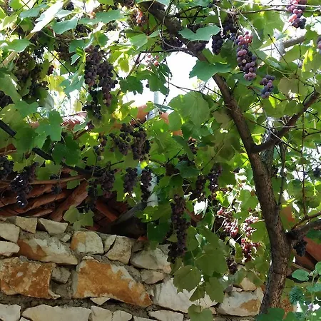Anatolia Karacasu Aydin 酒店 Geyre