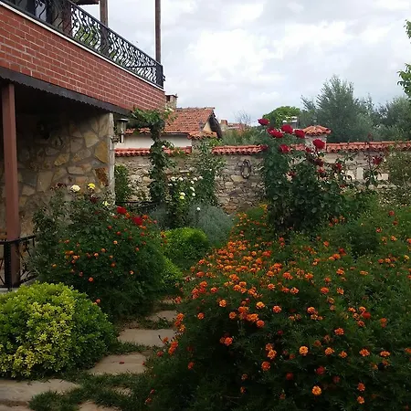 Anatolia Karacasu Aydin * Geyre