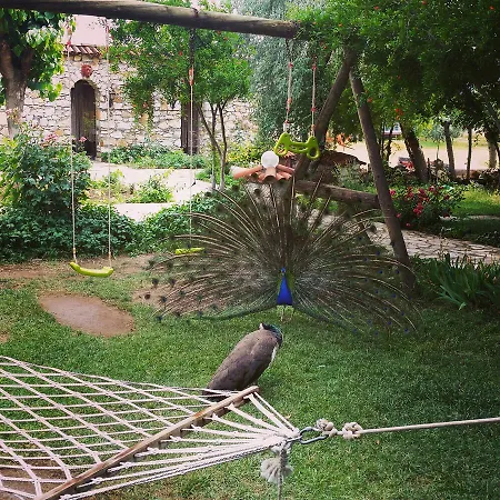 Anatolia Karacasu Aydin *