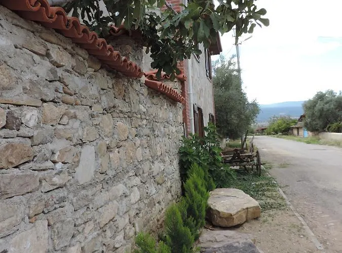 Hotel Anatolia Karacasu Aydin *